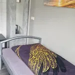 Hostel M&r