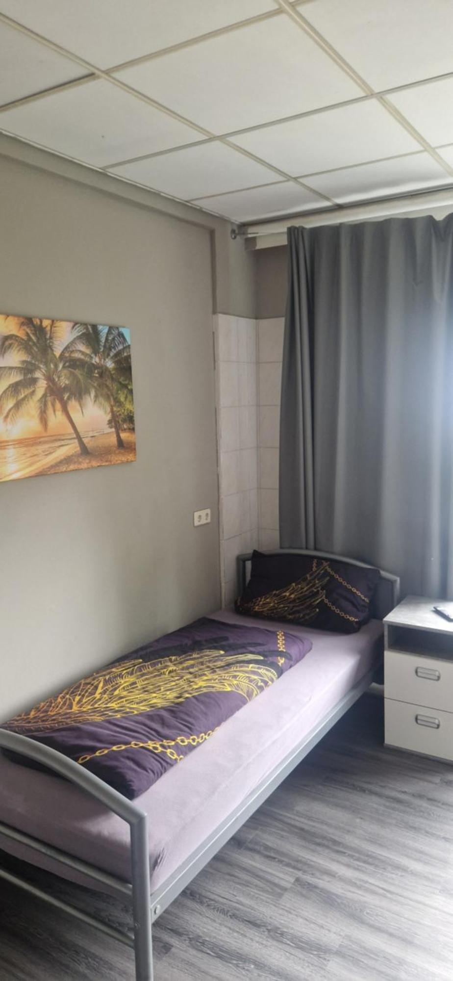 Hostel Backpackers